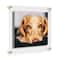 Cool Modern Frames Clear Acrylic Float Frame with Gold Hardware